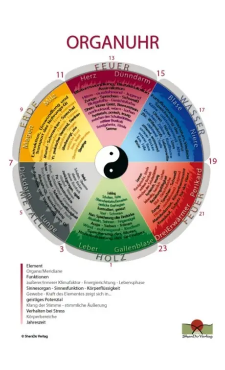Organuhr Schaubild Schaubild DIN A3