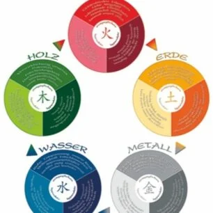 Die Fünf Wandlungsphasen Schaubild DIN A2